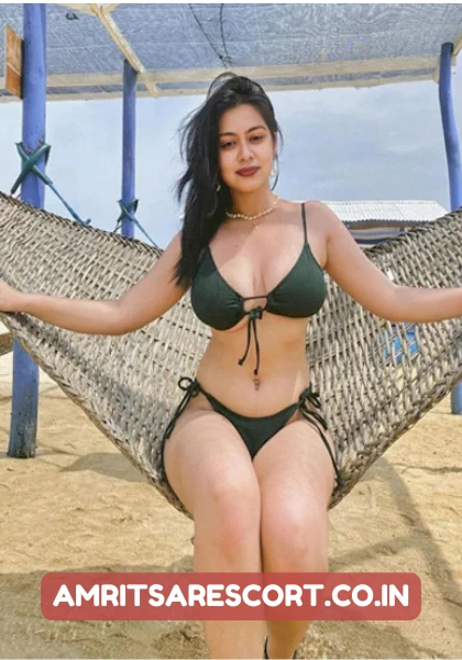 ludhiana Escort