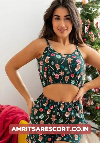 Escort Service ludhiana